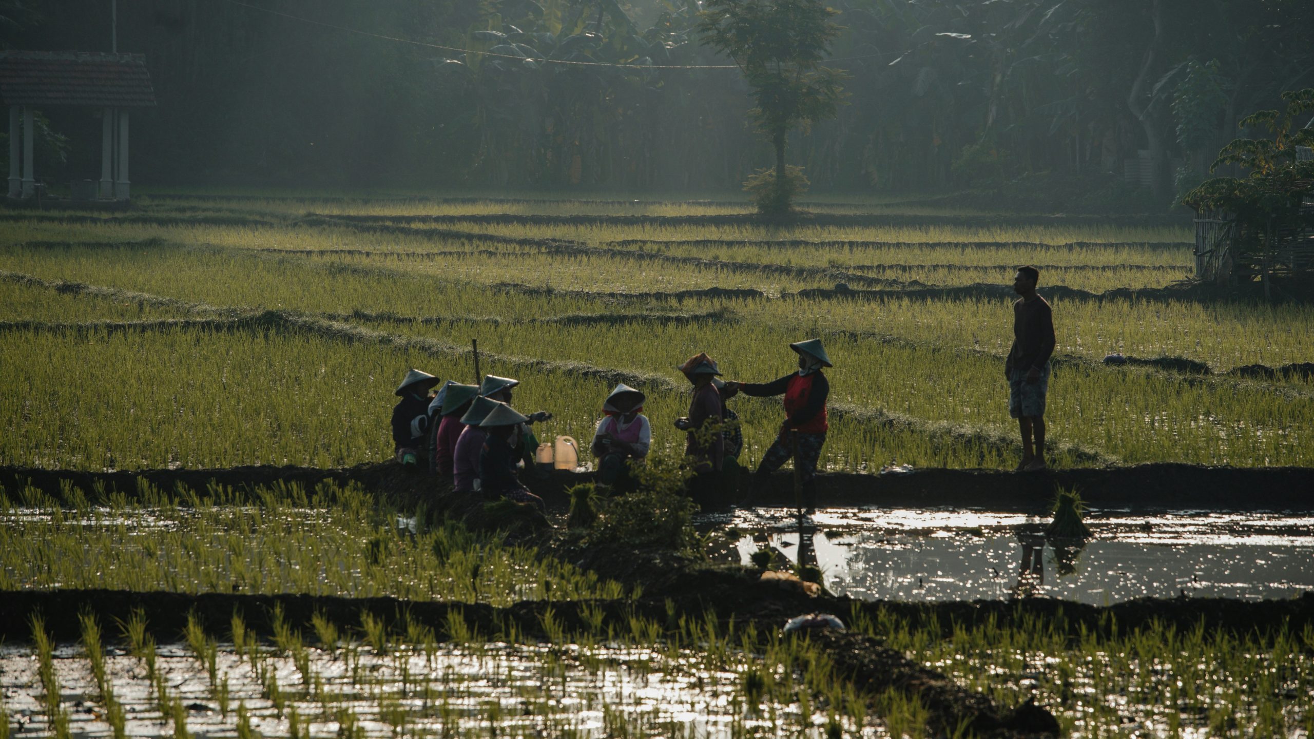mahendra-putra-d6nnn7csRWA-unsplash
