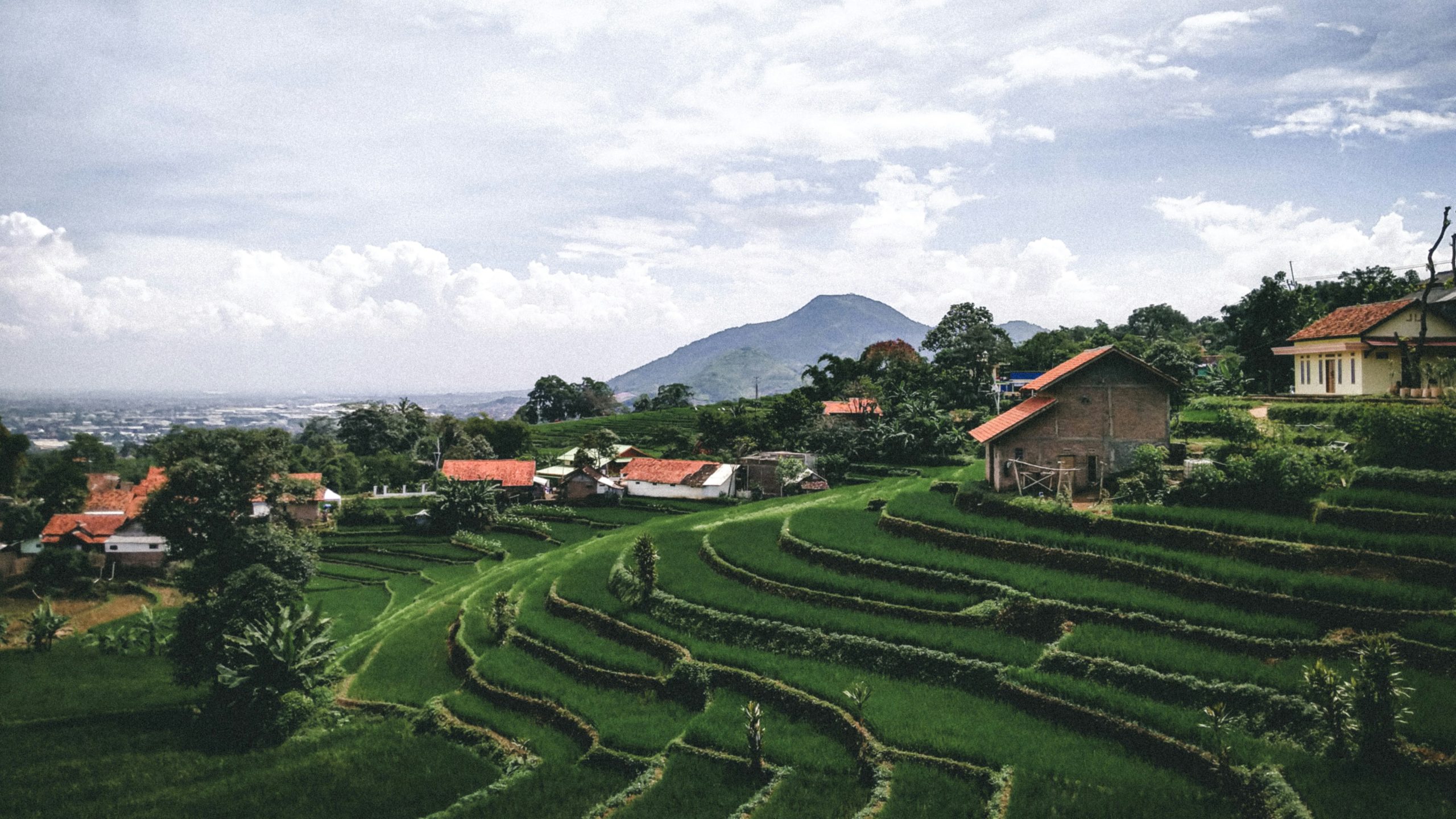 ramadhani-rafid-BTP_LEtvo2o-unsplash