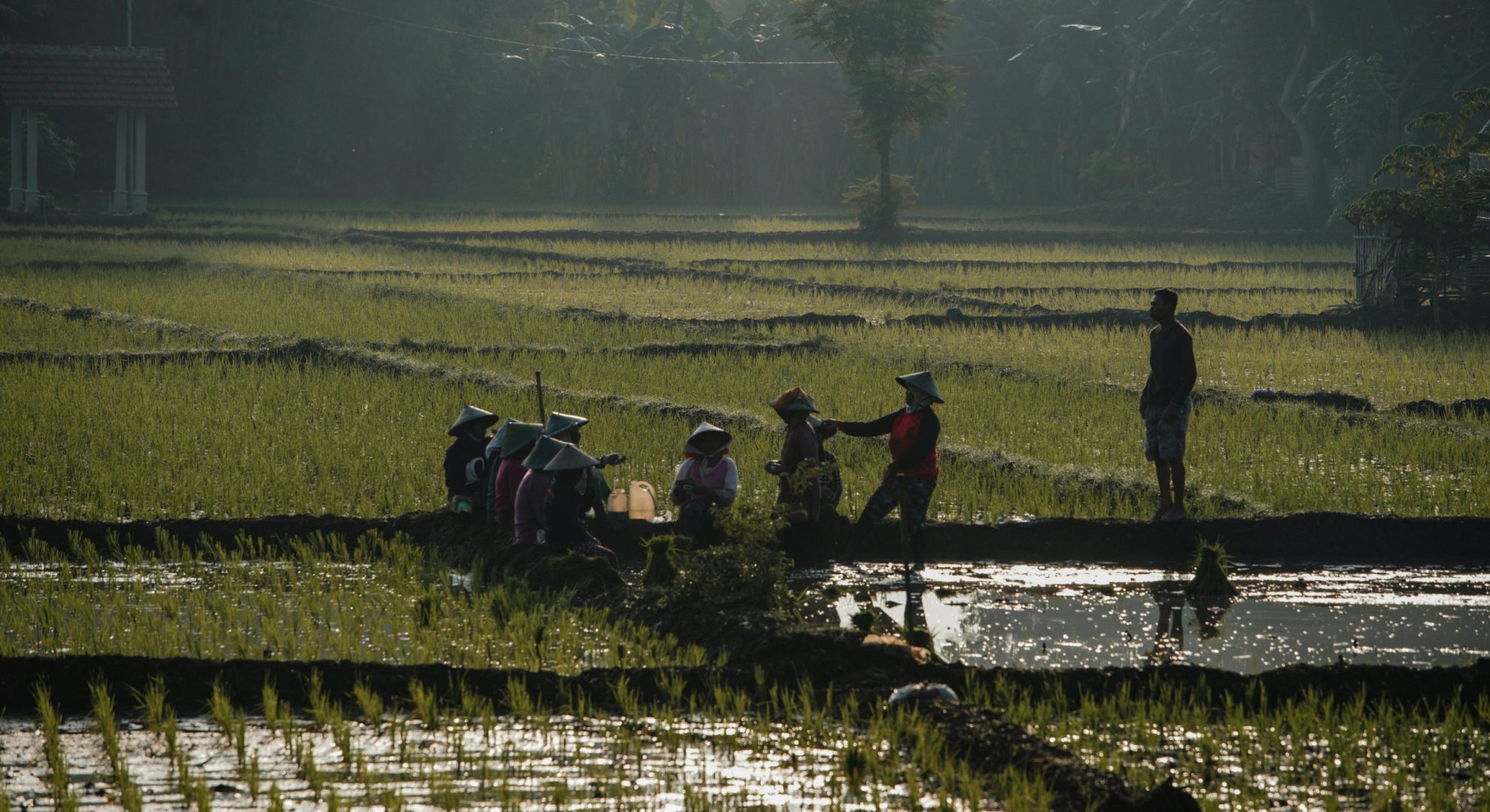 mahendra-putra-d6nnn7csRWA-unsplash